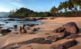 Goa के Top 10 Beaches: एक स्वर्गीय अनुभव