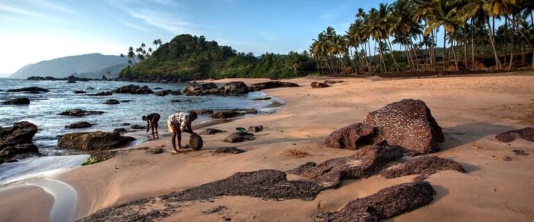 Read more about the article Goa के Top 10 Beaches: एक स्वर्गीय अनुभव