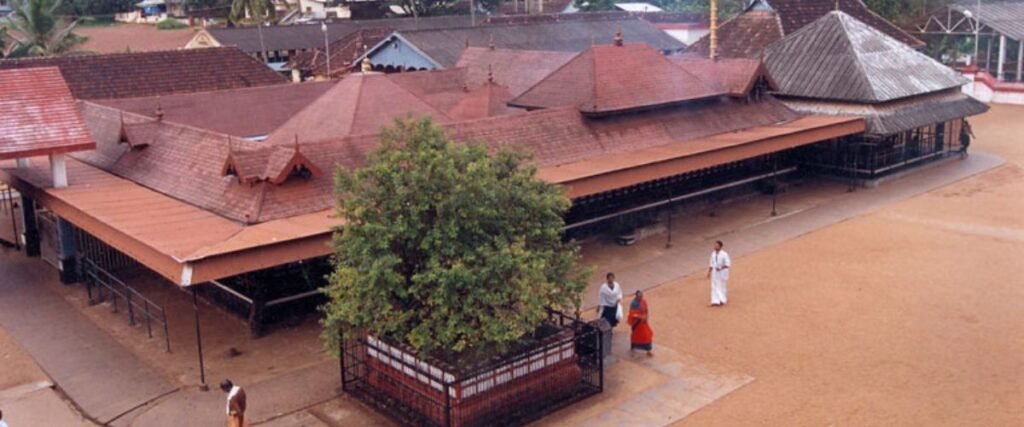 चोट्टानिक्कारा देवी मंदिर